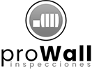 prowallinspecciones.cl